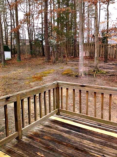 Building Photo - 3 BR / 2 BA Gorgeous Roomy Home in Wooded ...