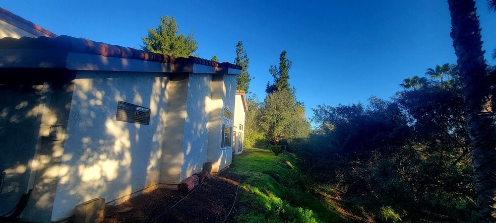Large yard with mature trees including producing olive & lemon trees and tranquility - 16139 Ladera Piedra Way