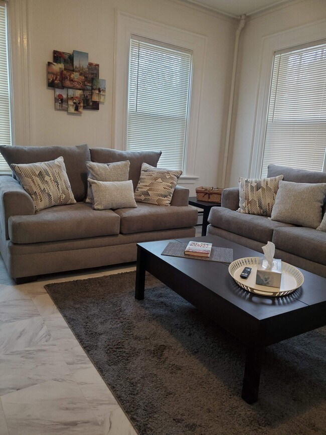 New rug - 87 Vinton St