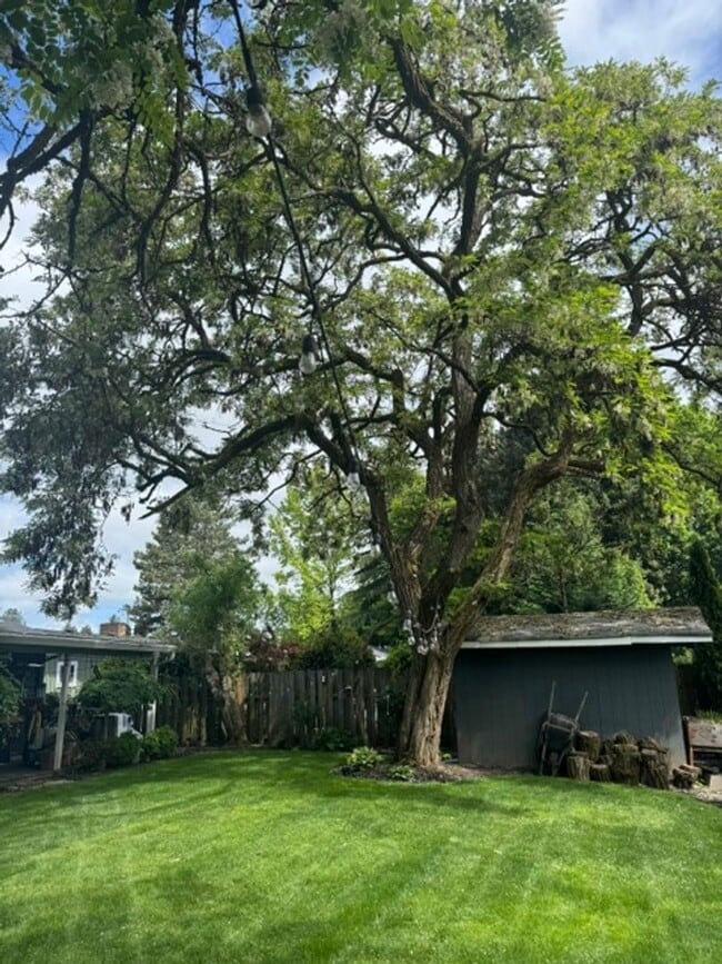 Building Photo - ?Lovely 3bed/2bath Ranch style home with HUGE private yard in ?