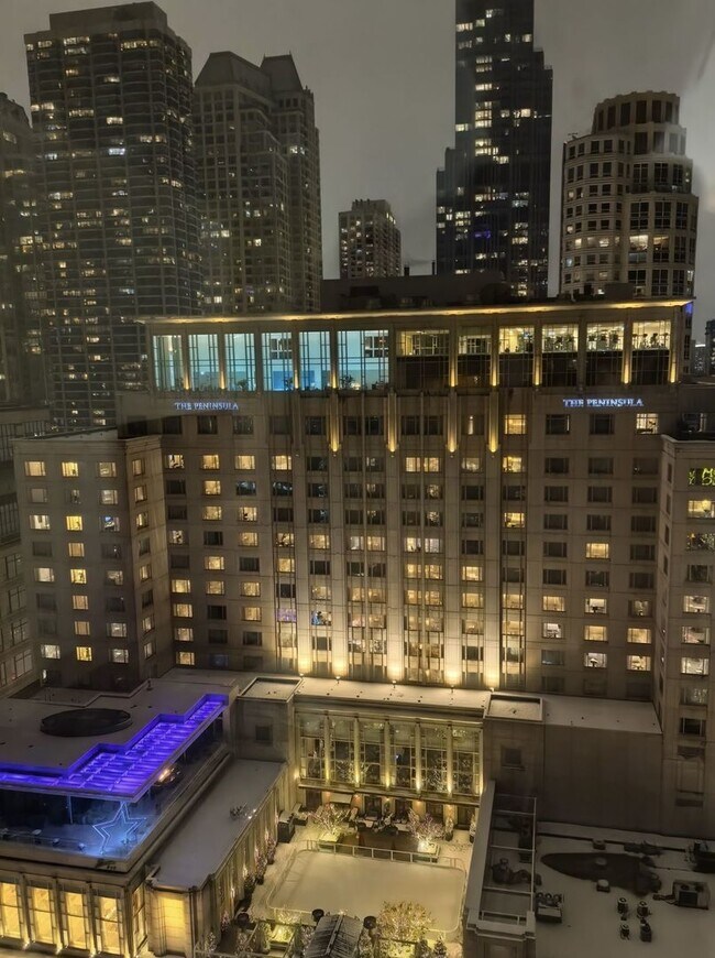 Building Photo - 777 N Michigan Ave