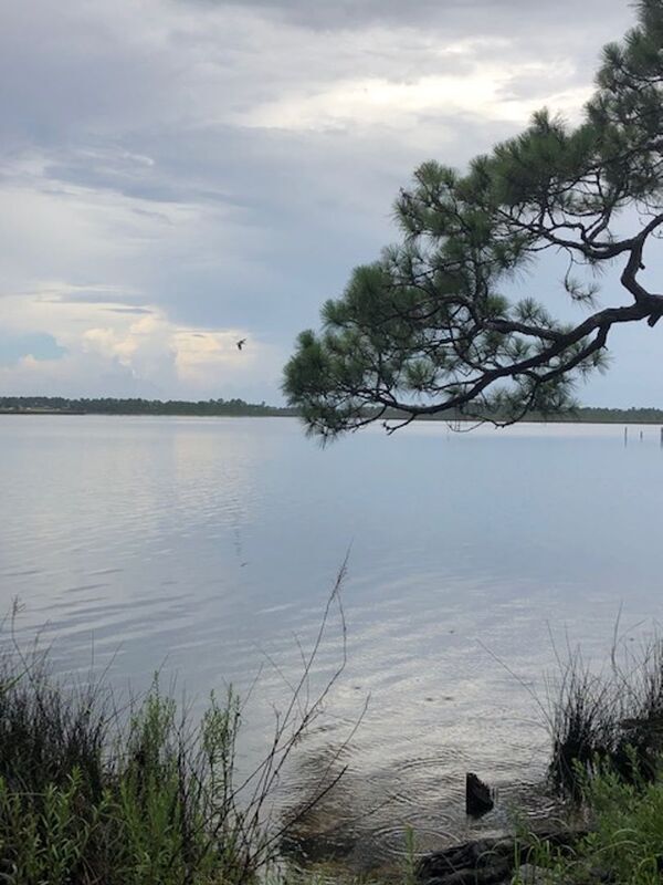 Building Photo - 3278 Bernath Dr