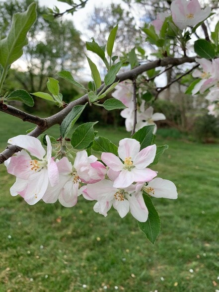 Building Photo - 107 Wheat Field Terrace