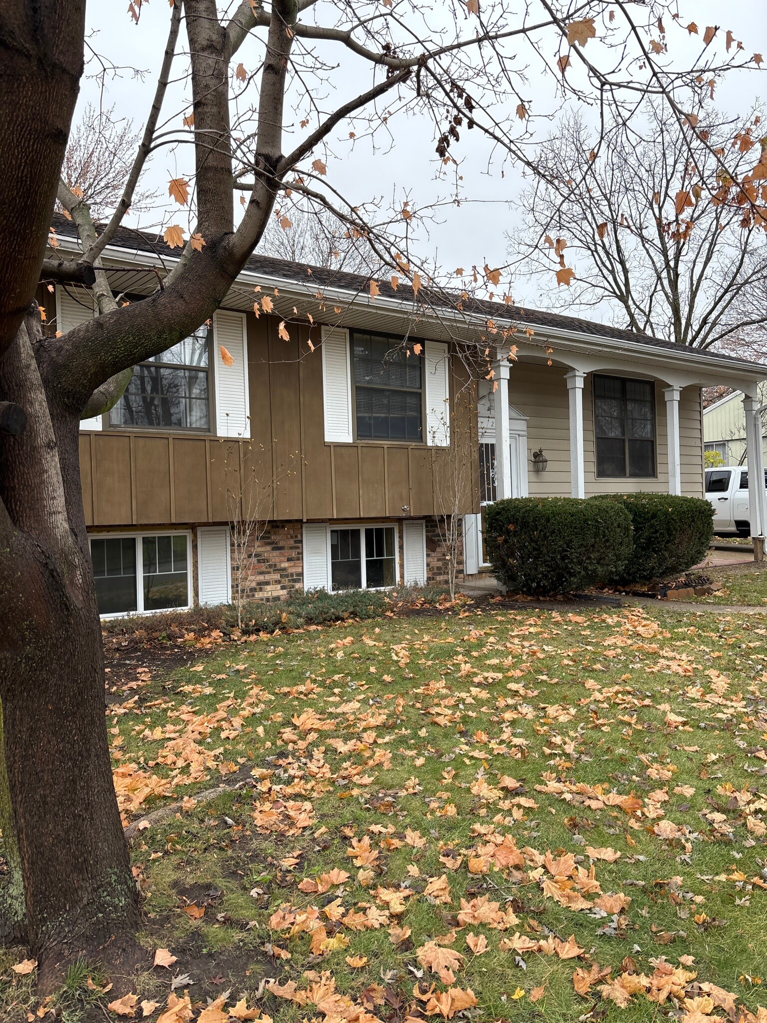 From house - 215 Irene Ave