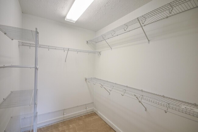 Building Photo - 217 Rolling Stone Ct