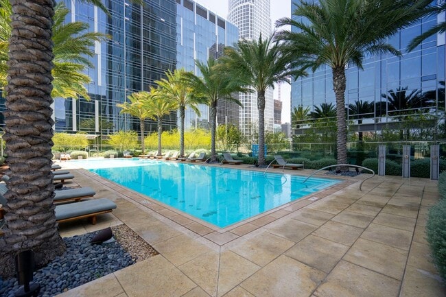 Building Photo - Spacious Studio Available Now!