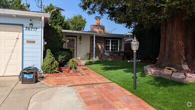 Building Photo - Beautiful 4 bedroom 2 bath home in Newark