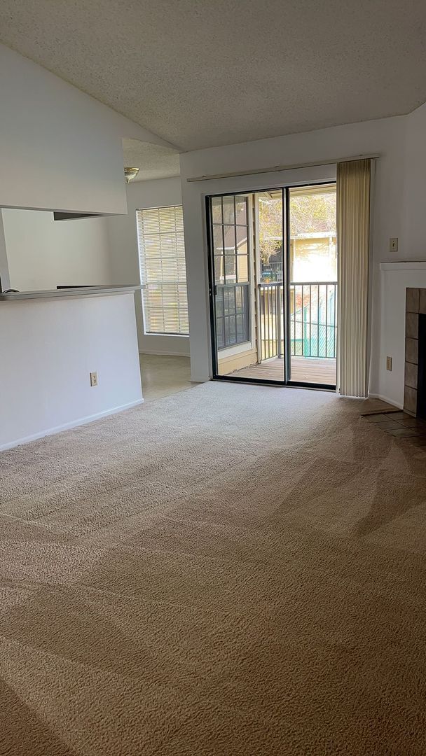 Building Photo - Charming One Bedroom for Rent in Tampa!