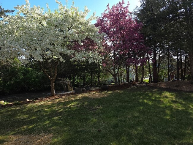 Building Photo - Great 4 bedroom home in Red Cedar Canyon