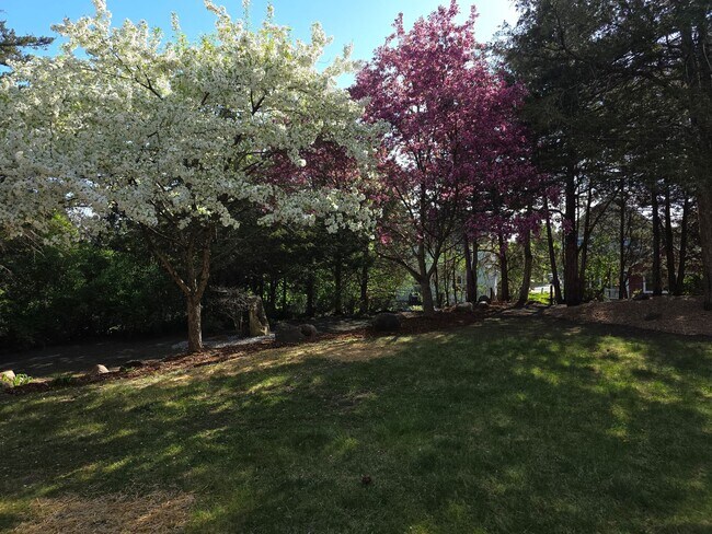 Building Photo - Spacious 4-Bedroom Home in Red Cedar Canyon