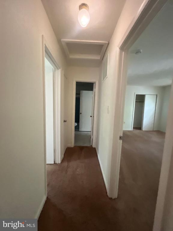 Building Photo - 12809 Cheval Ct