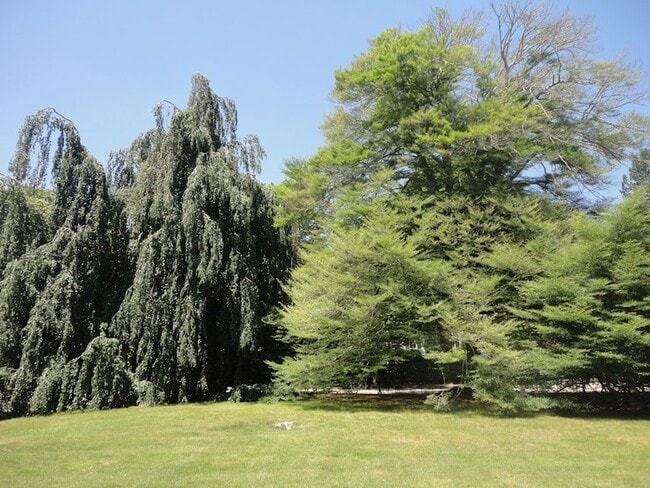 Building Photo - 434 Bellevue Ave