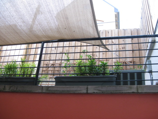 Patio under sail shade in summer - 1830 18th St NW