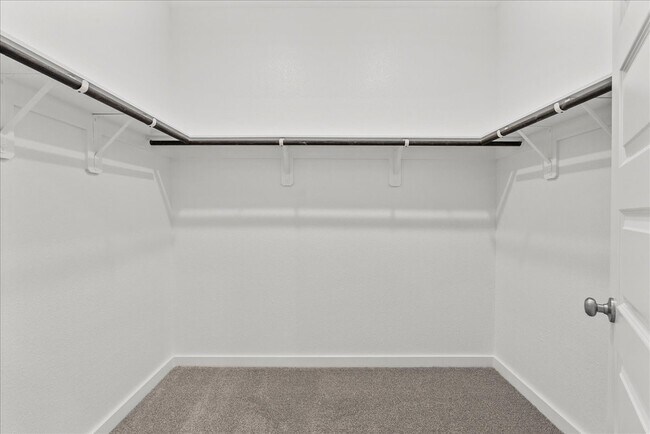 Building Photo - 535 Avisa Dr