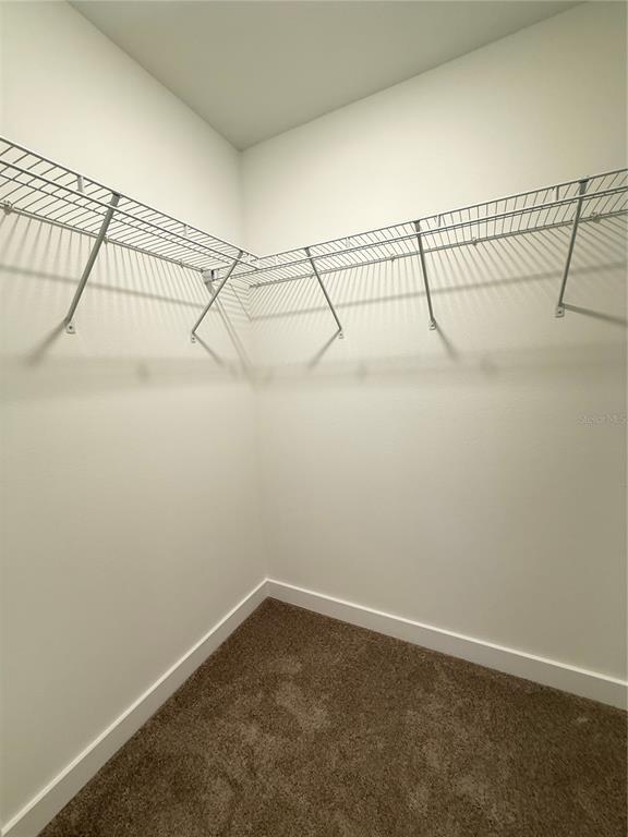 Building Photo - 3305 Tranquil Trl