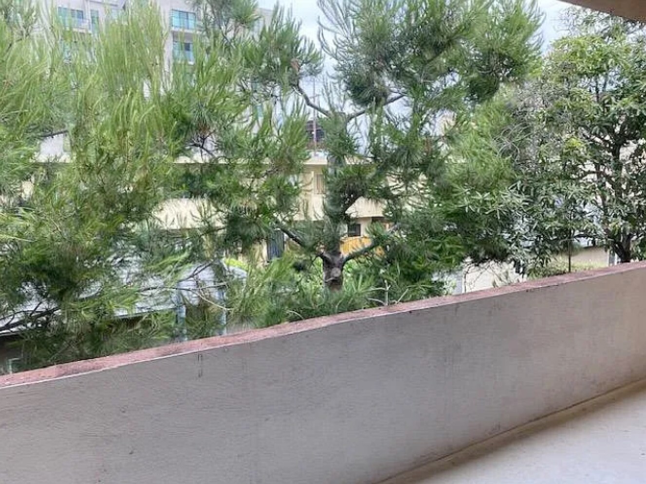 Building Photo - 3834 Mentone Ave