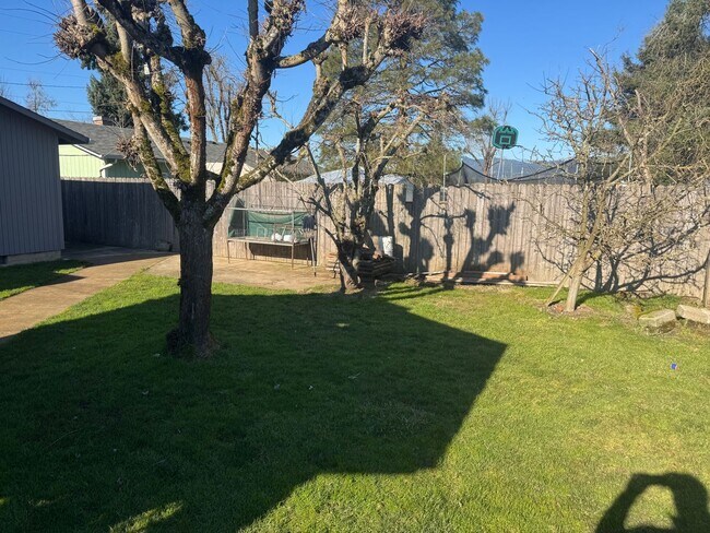 Building Photo - Check out this great 4 bedroom home!