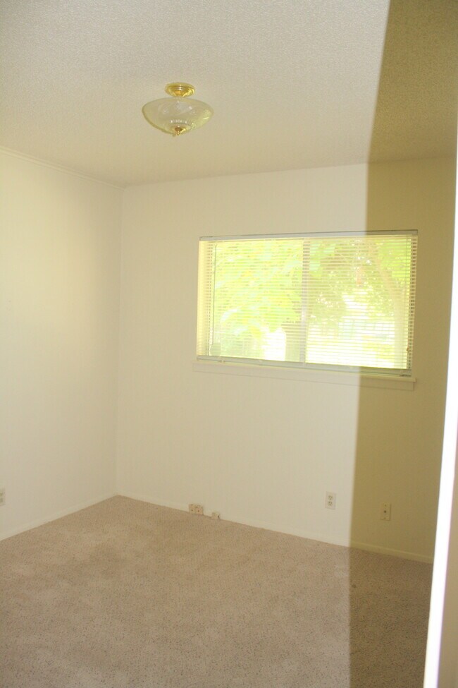 Building Photo - 3 BR / 1 BA House off Shoal Creek/Steck!