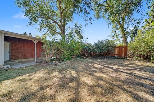 Building Photo - 2303 Braun Ct