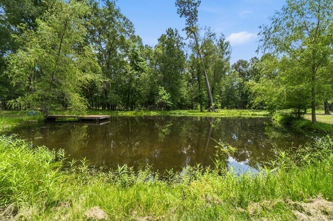 Building Photo - 2149 Pine Acres Dr