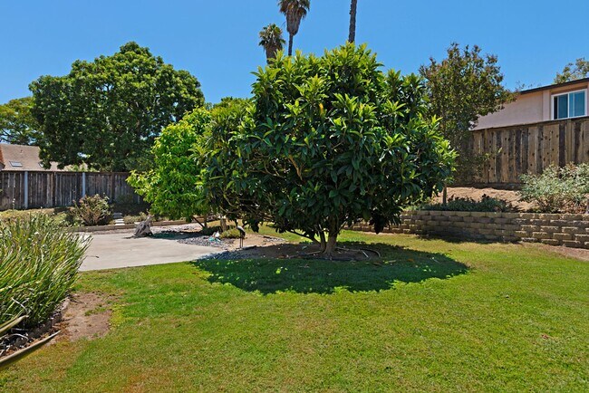 Building Photo - Beautiful & Large Home in Quiet Gatewood Hills - Private Backyard - 2-Car Garage