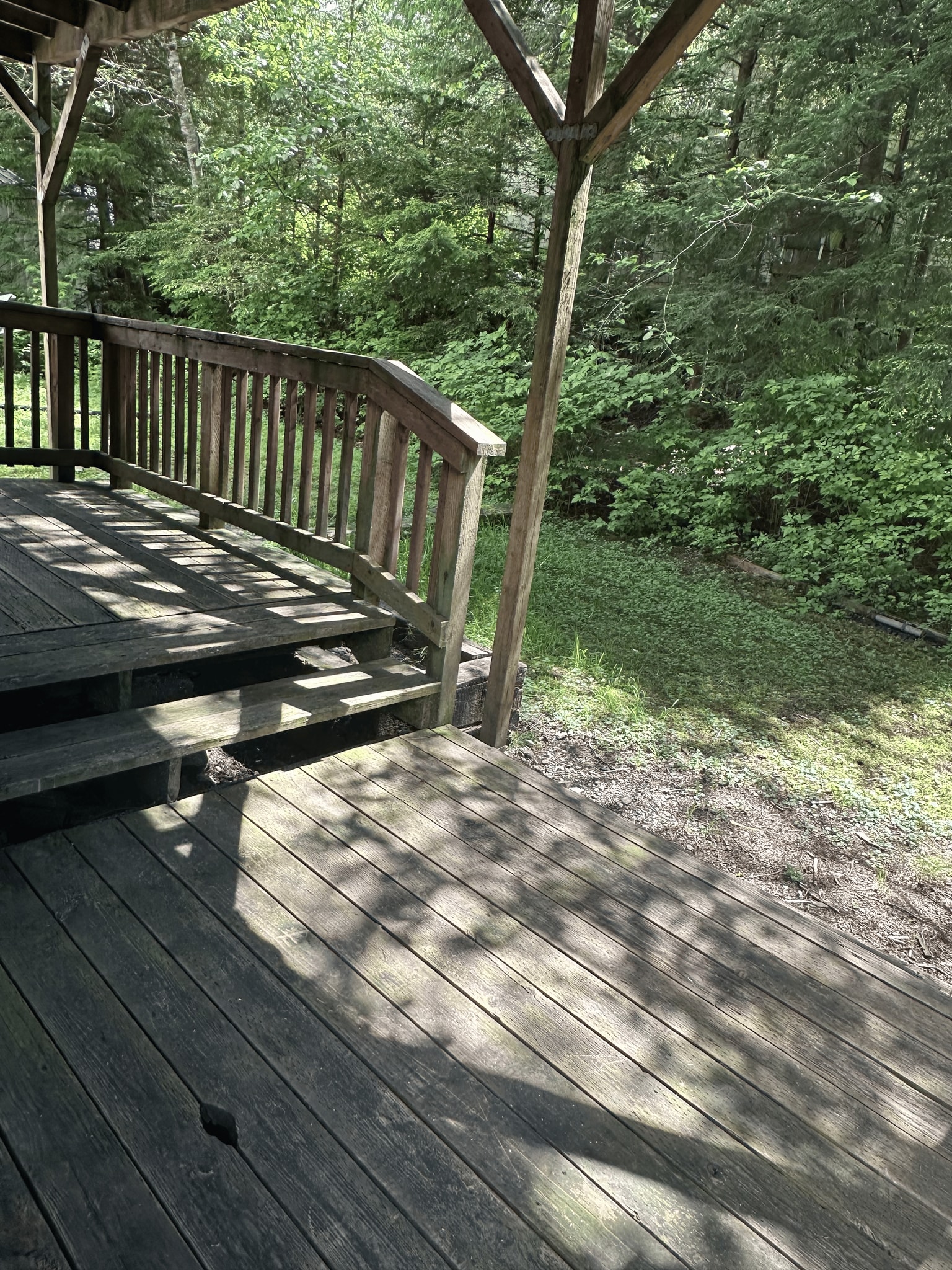 Backyard - 1227 Black Bear Rd