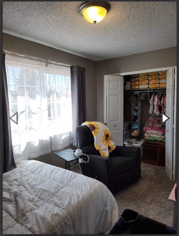 Building Photo - 7015 Woody Creek Dr