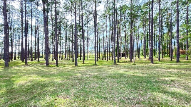 Building Photo - 20721 Angels Landing Ct