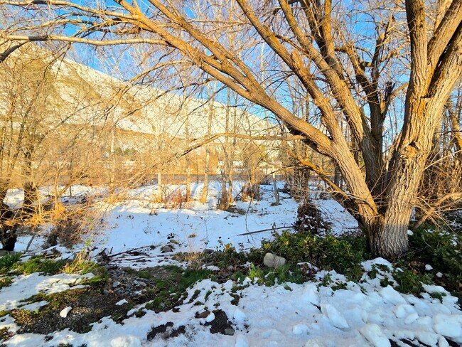 Building Photo - Large 4 Bedroom + Den, 2 Bath House for Rent in Cashmere!*** ON THE RIVER!!