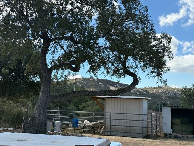 Building Photo - Unique opportunity!  3 BR 2.5 BA Farm-ranc...