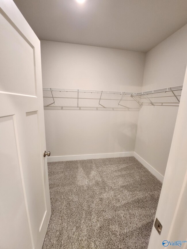 Building Photo - 137 Rugby Dr