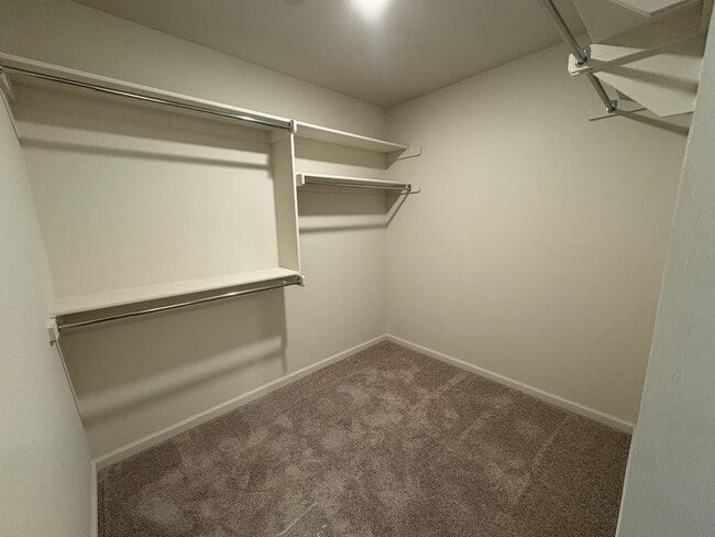 Building Photo - Beautiful New Home!  Pictures coming soon.