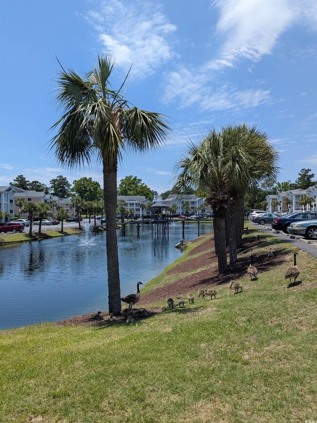 Building Photo - 627 Waterway Village Blvd