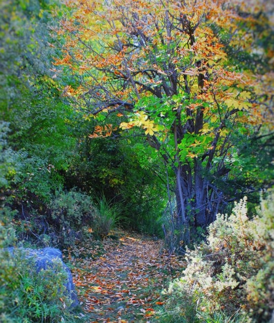 Building Photo - 529 S Beach St