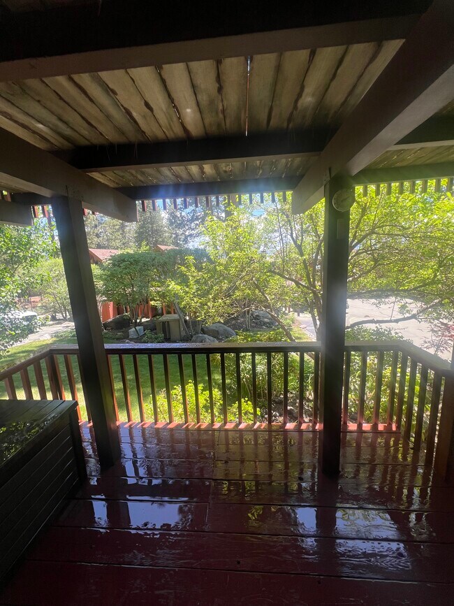 Building Photo - 557 Lakeshore Blvd