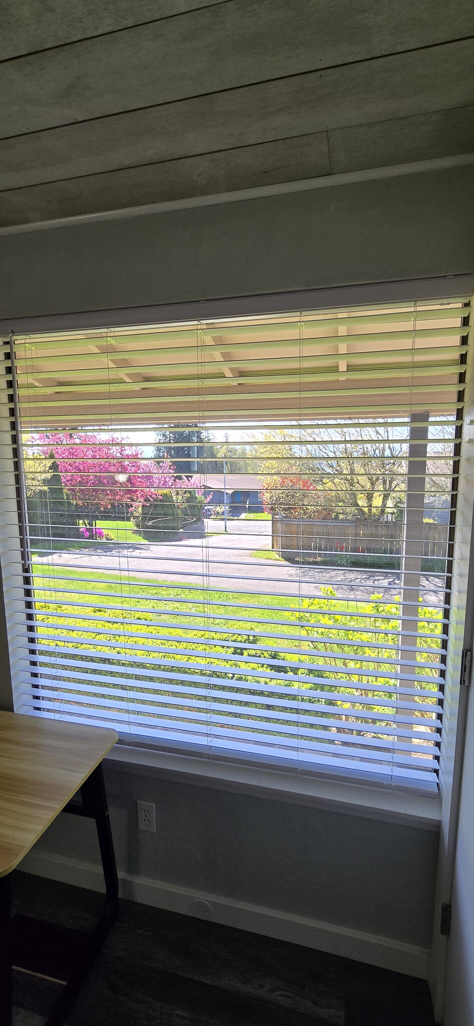 View - 7621 46th Pl W