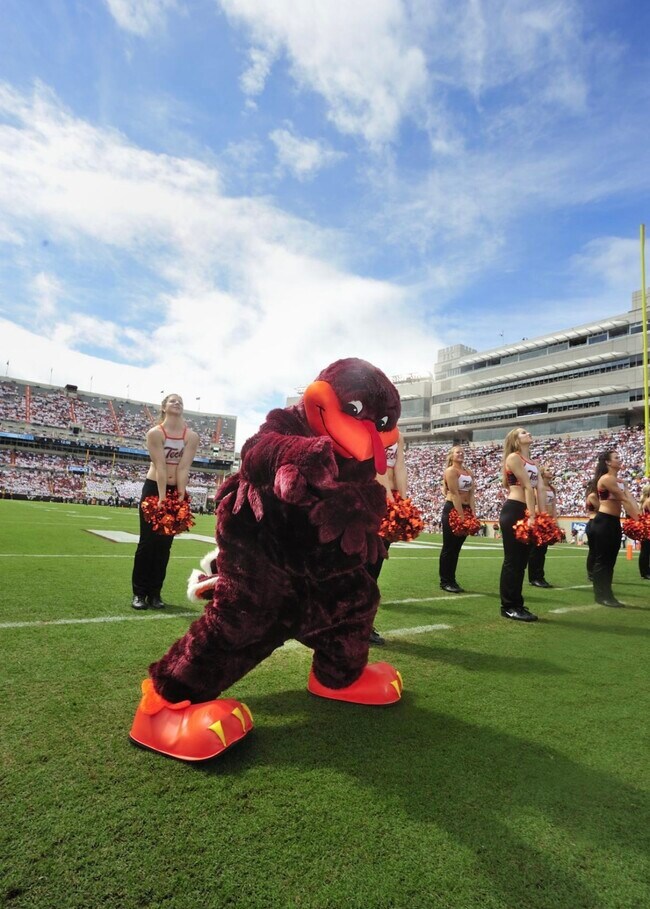 The Virginia Tech Hokie Bird - 334 Shenandoah Cir
