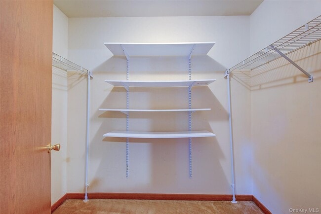 Building Photo - 41 Beechwood Ave