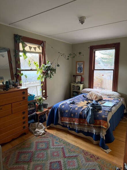 Building Photo - 289 S Winooski Ave