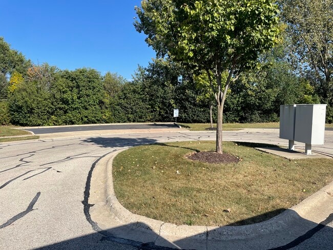 Building Photo - 357 Persimmon Ct