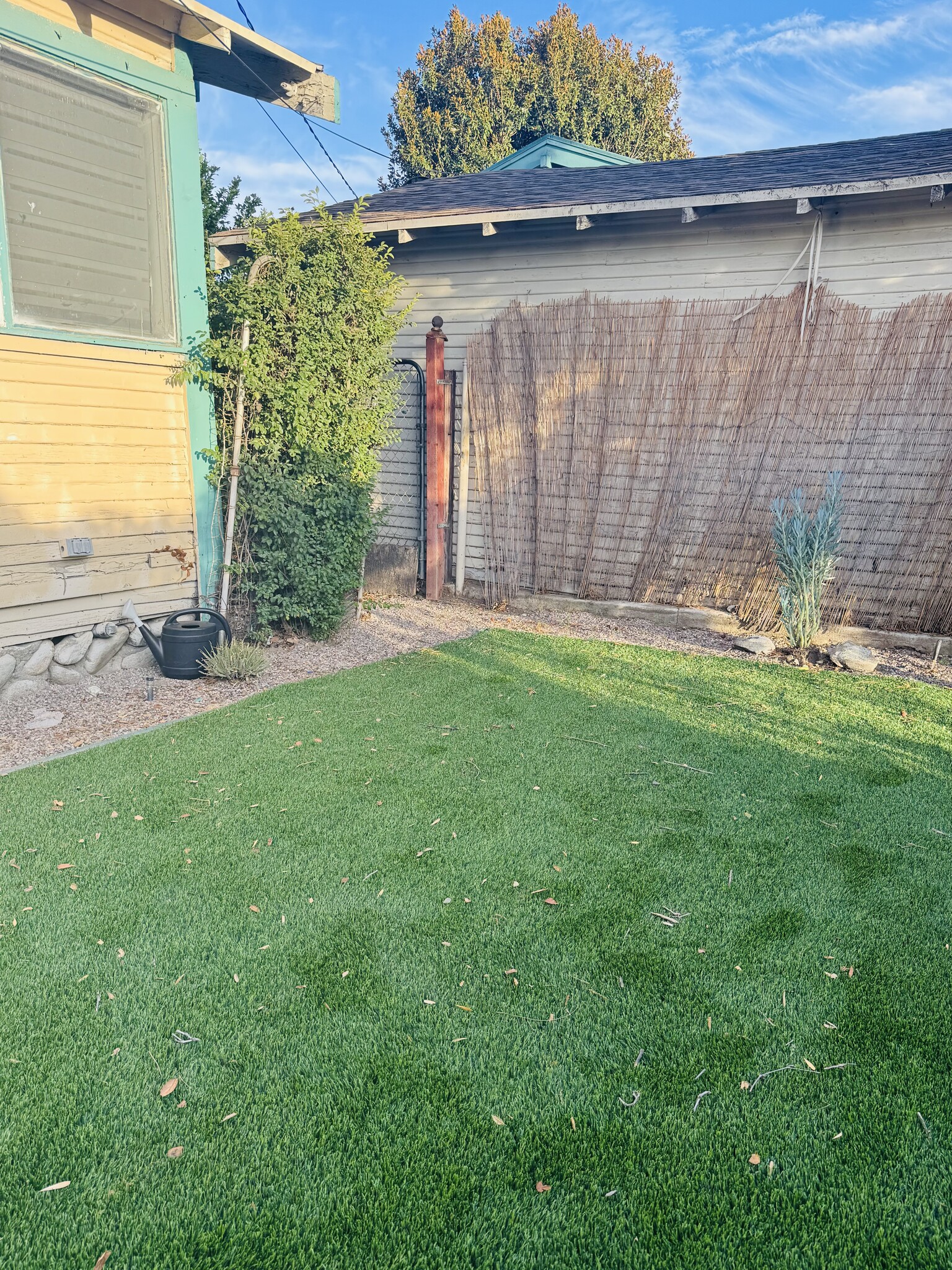 Backyard - 1045 Bradford St