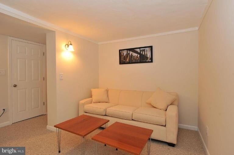Lower Level Den - 829 Florida Ave NE