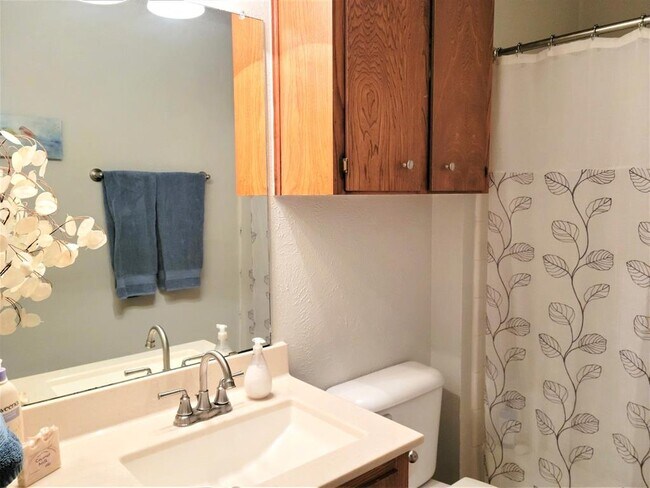 Building Photo - 6904 Argonne Forest Cove