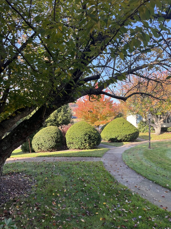 Front door view - 26 Apache Way