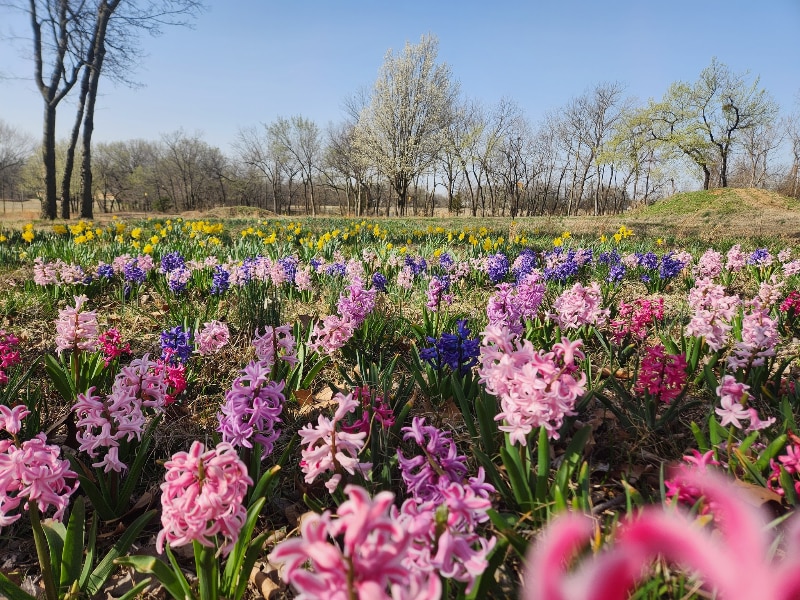 Building Photo - 9037 N Mem Dr