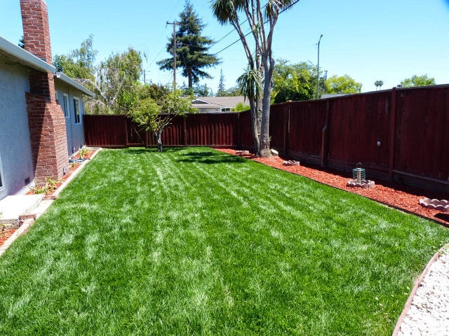 Building Photo - Beautiful 3bd Single Story House With In-unit Laundry