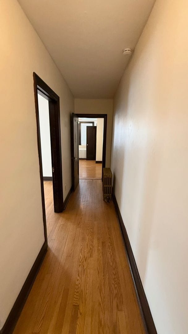 Building Photo - Beautiful 3/4 bedroom + office in Shadyside- Off-Street Parking and Tons of Storage!!