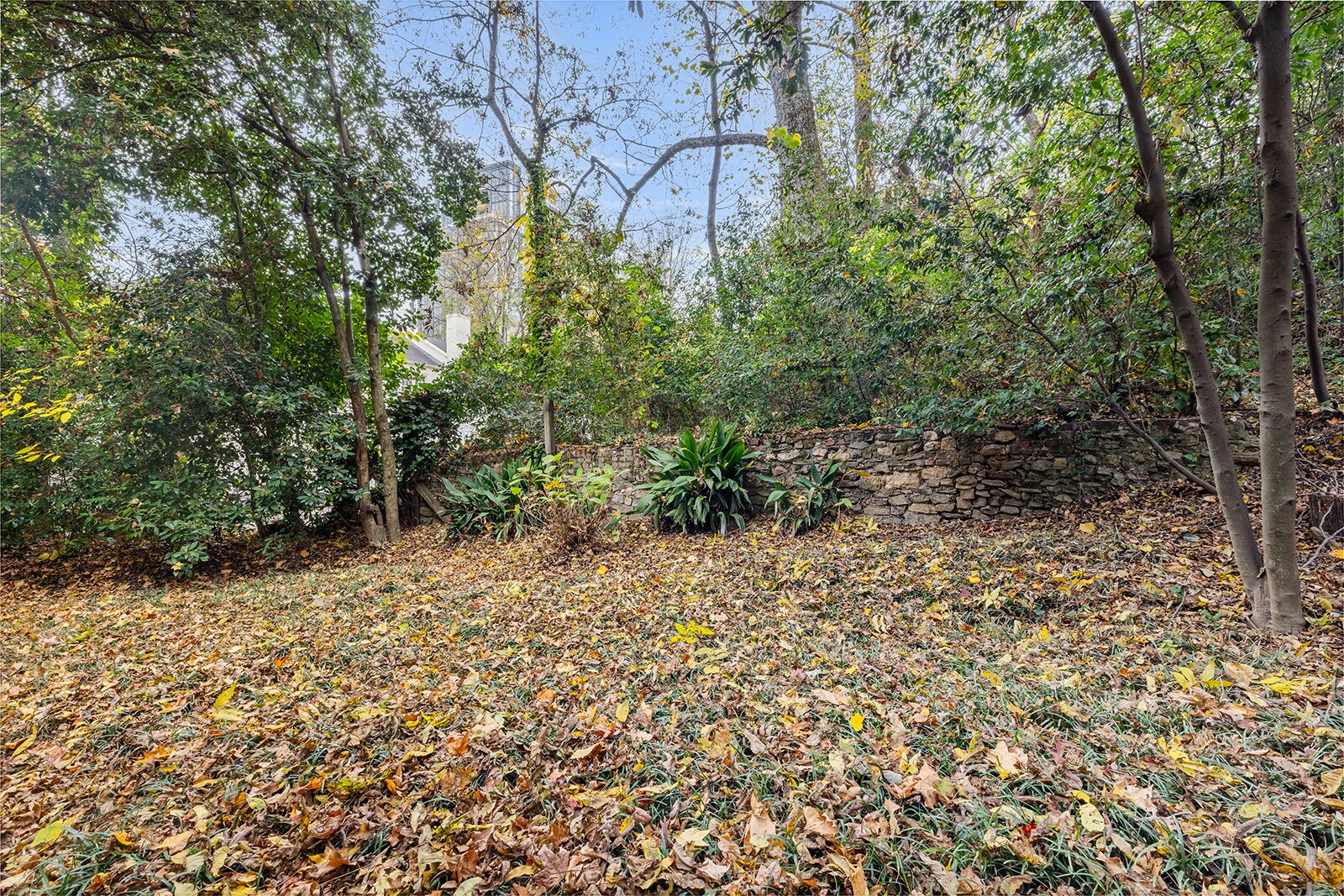 Building Photo - 104 Terrace Dr NE