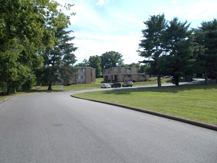 Building Photo - 1249 Hampshire Pike