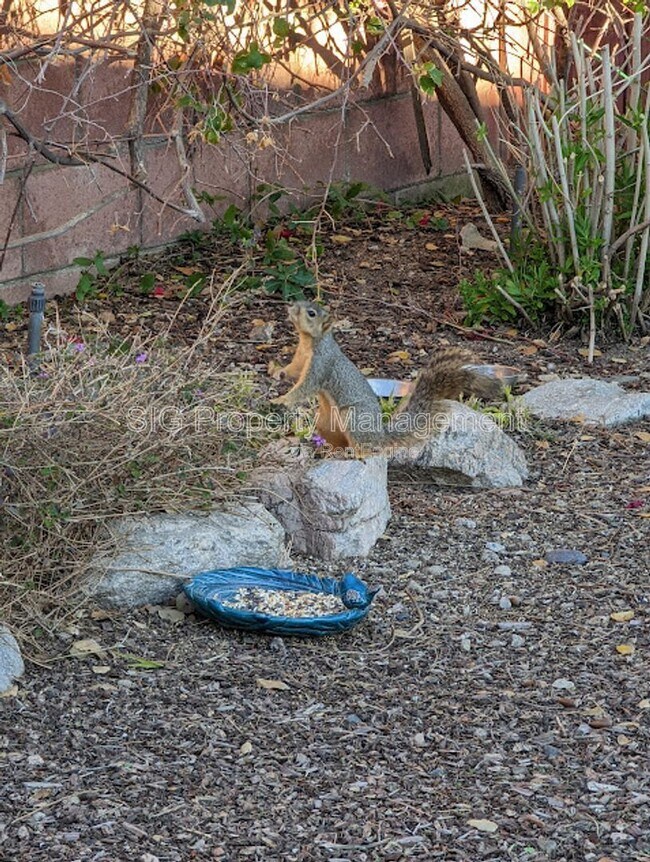 Building Photo - 7849 Beckett St